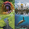 Borneo Landmark Posters