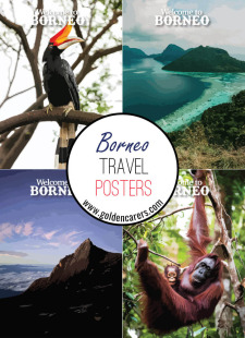 Borneo Travel Posters