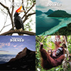 Borneo Travel Posters