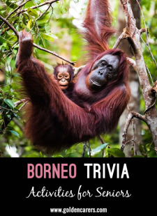 Borneo Trivia