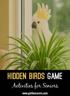 Hidden Birds Game