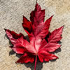 Guess the Decade – Canadian Edition