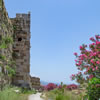 Lebanon Trivia