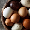 Food Science: Myth or Fact