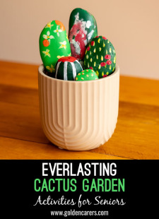 Everlasting Cactus Garden
