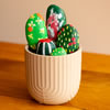 Everlasting Cactus Garden