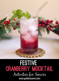 Festive Cranberry Mocktail