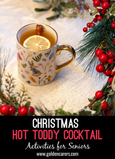 Christmas Hot Toddy Cocktail