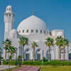 Armchair Travel to Saudi Arabia