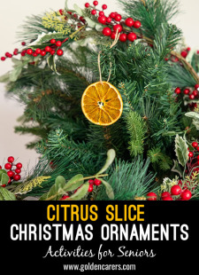  Citrus Slice Christmas Decorations