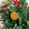  Citrus Slice Christmas Decorations