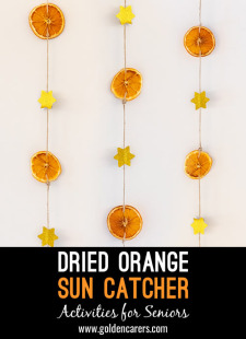 Dried Orange Sun Catcher