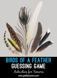 Birds of a Feather Guessing Game