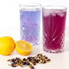 Magic Tea Experience