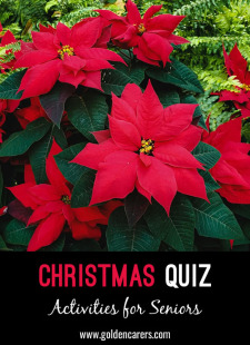 Christmas Quiz XII