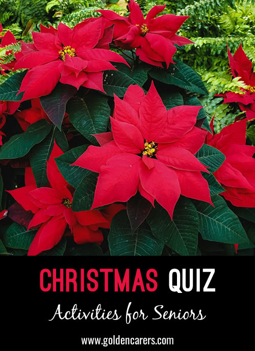 Christmas Quiz XII