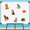 Missing Item Whiteboard Game