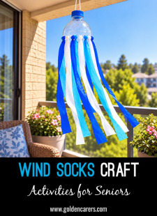 Wind Socks Craft