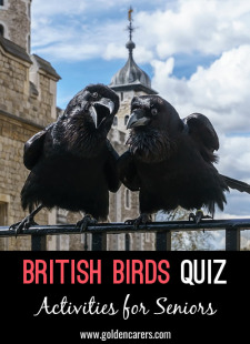 British Birds Quiz