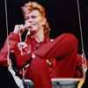 David Bowie Quiz