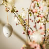 True or False Easter Traditions
