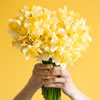 1st of March – Lots to Smile About
