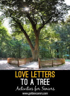 Love Letters to a Tree - The Bridegroom’s Oak