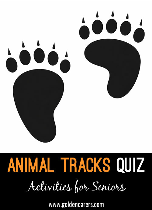 Animal Tracks Quiz