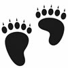 Animal Tracks Quiz