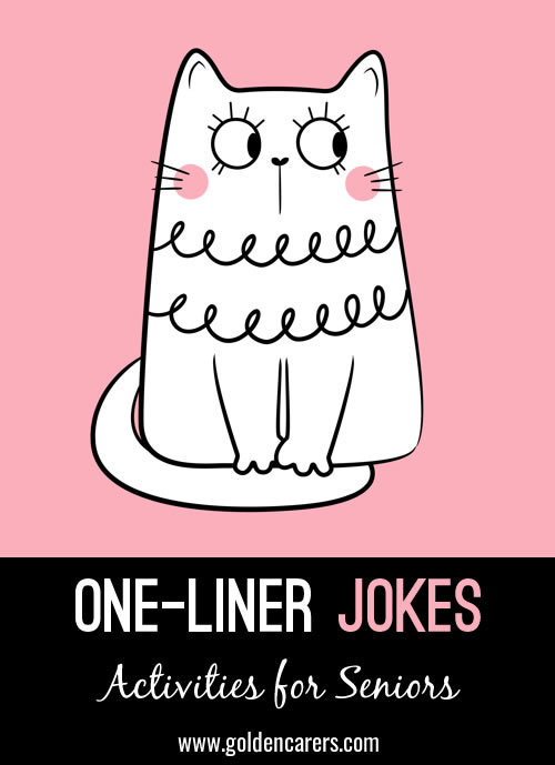 One-Liner Jokes