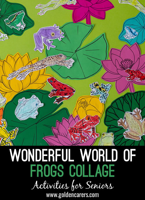 Wonderful World Of Frogs Collage