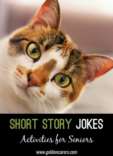 Short Story Jokes #18