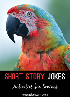 Short Story Jokes #19