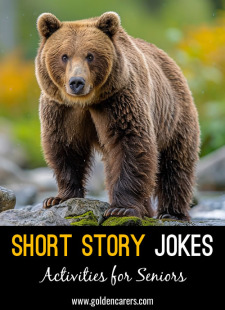 Short Story Jokes #21