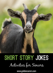 Short Story Jokes #24