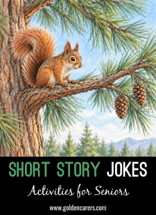 Short Story Jokes #29