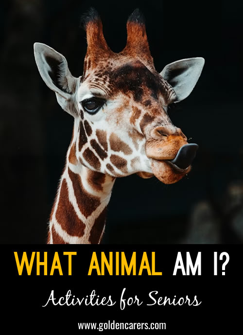 What Animal Am I?