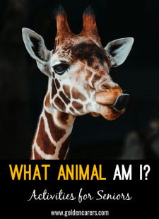 What Animal Am I?