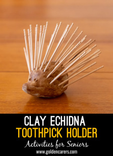 Clay Echidna Toothpick Holder