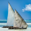 Mozambique Trivia