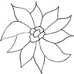 Daffodil