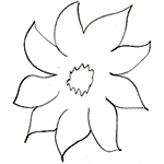 Clematis