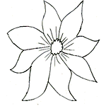 Black Eyed Susan