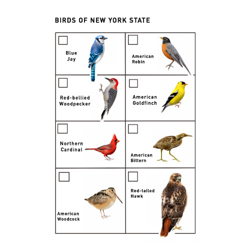 Birds of New York State Checklist
