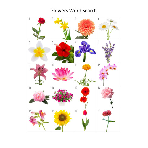 Flowers Word Search