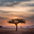 Tanzania Image