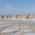 Ethiopia Image