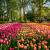 The Netherlands Image