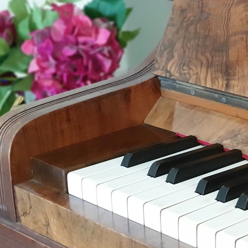 Chopin's Birthday Image