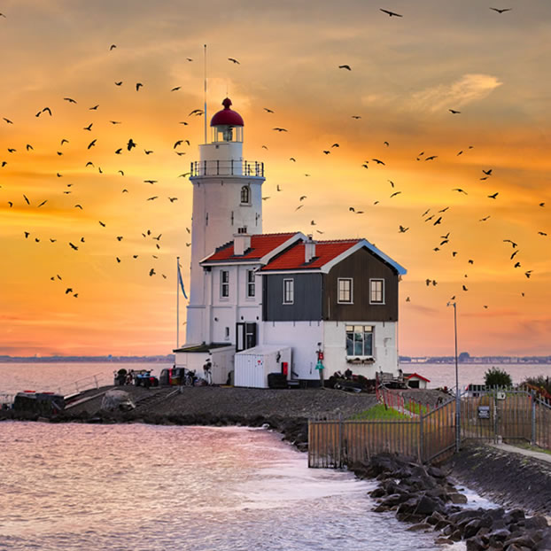 Activities Calendar Lighthouse Day 21st Of August Activities Calendar Lighthouse Day 21st Of August